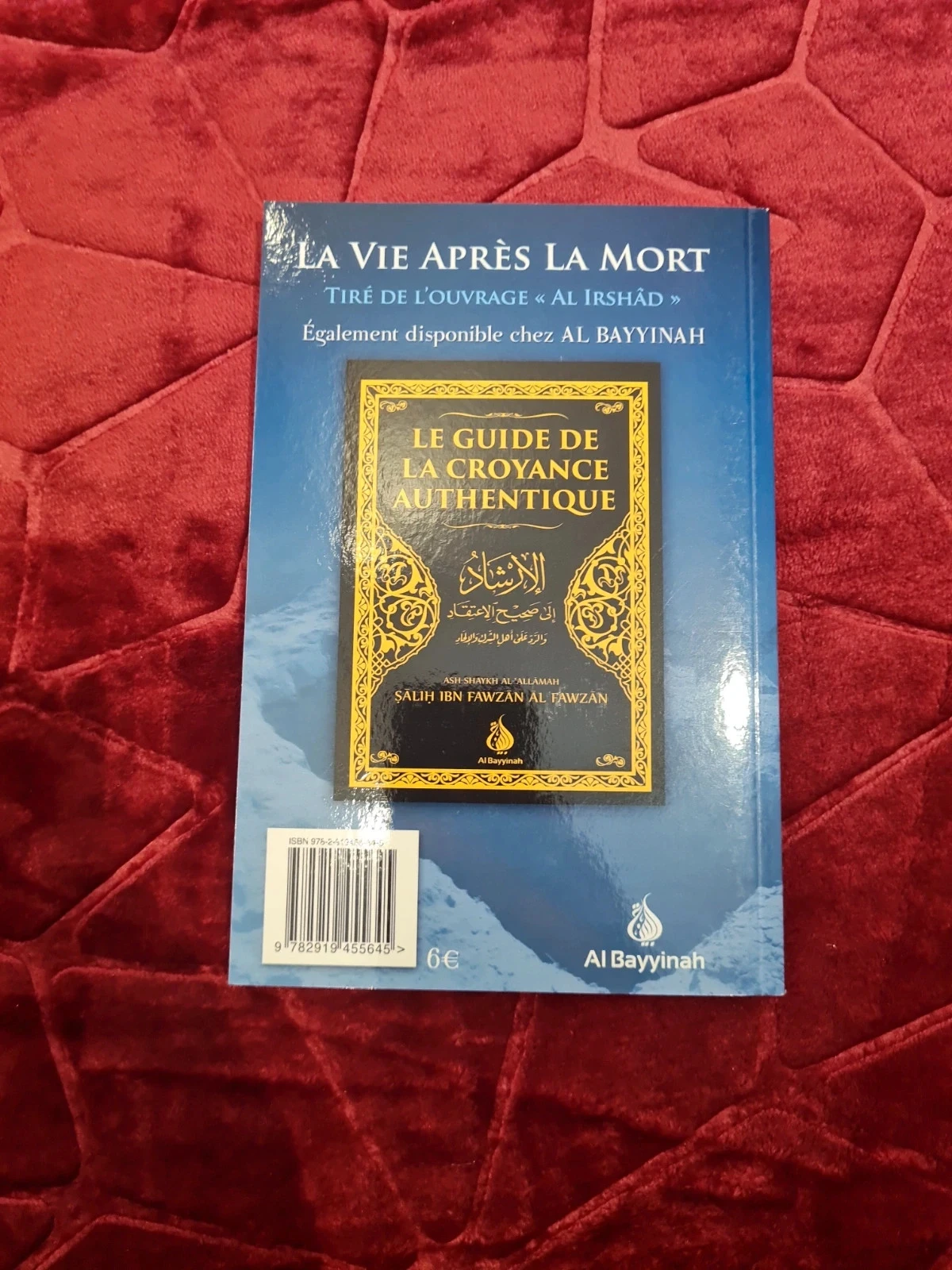 La vie après la mort – photo 2